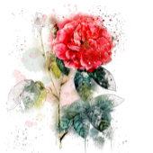 シャビーシックウォーターカラーバラ結婚式招待状 招待状