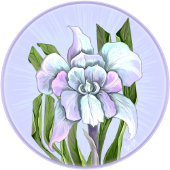 Smeraldoフラワーカーネットノート ノートブック