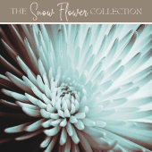 緑のティッシュペーパーギフトラップ無地のカラー 薄葉紙