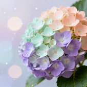 Bloomin Lovely Floral Botanical Aesthetic シール