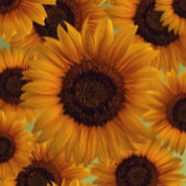 ひまわりパーティー帽子 パーティーハット