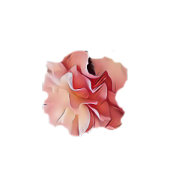 ピンクの花と黒と甘い16パーティー招待 招待状