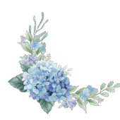 Romantic Dusty Blue Hydrangea Watercolor Wedding  フェイバータグ