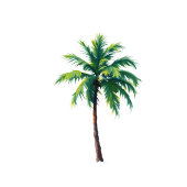 Sophisticated Minimalist Palm Tree Menu アクリルサイン