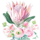 水性プロテア結婚ズ ゲストブック