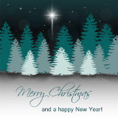 ベツレヘムの星と冬の夜 フェイバーバッグ