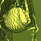 イエローバレーボール誕生日 招待状