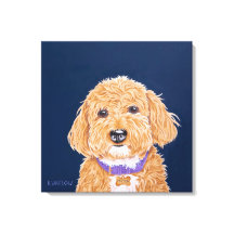 Collegiate Goldendoodle