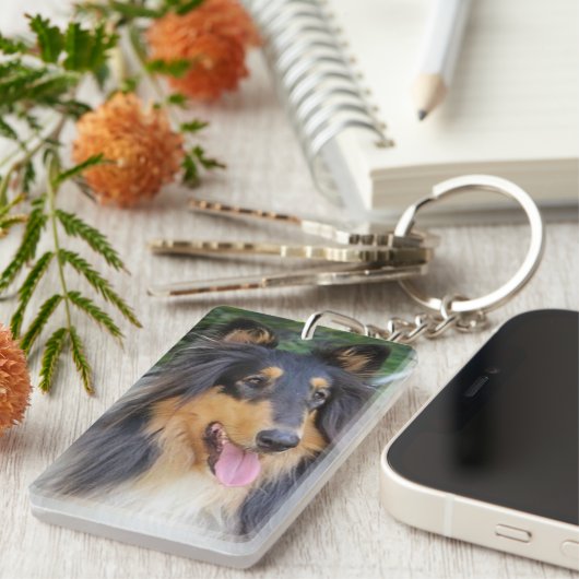 Colley americain. キーホルダー (正面右)