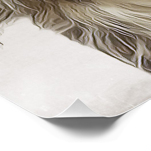 Collieポスター ポスター (コーナー)