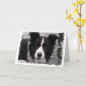 Collie縁どグリーティングカード カード (黄色い花)
