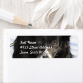 Collie縁ど Dogの宛名ラベル ラベル (インサイチュ)