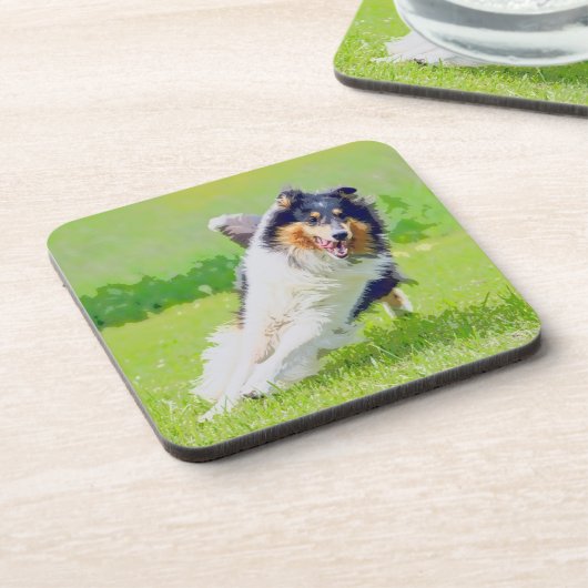 Collie コースター (左側)