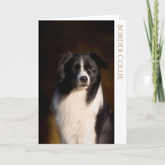 Collie 縁ど  Greeting Card カード (正面)