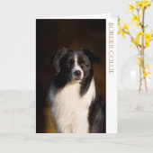 Collie 縁ど  Greeting Card カード (黄色い花)