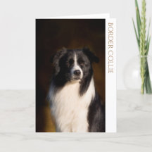 Collie 縁ど  Greeting Card