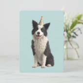 Collie Birthday Party 招待状 (スタンド正面)