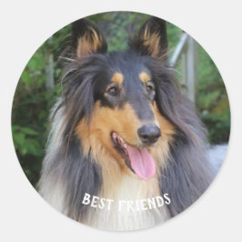 Collie dog Best FRIENDS ラウンドシール