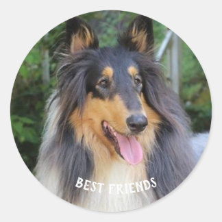 Collie dog Best FRIENDS ラウンドシール