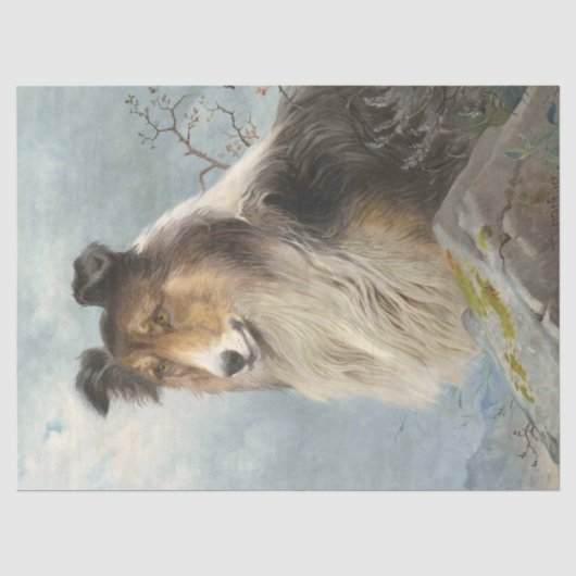 Collie Dog Decopage Decopaging 薄葉紙 (正面)