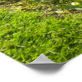 Collie N More Tulipsポスター ポスター (角)