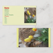 Collie n' Tulips名刺 名刺 (正面/裏面)