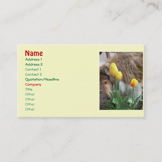Collie n' Tulips名刺 名刺 (正面)