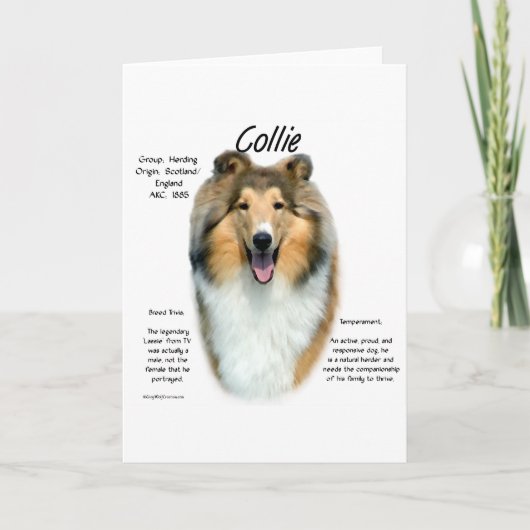 Collie (sable rough)履歴デザイン シーズンカード (正面)