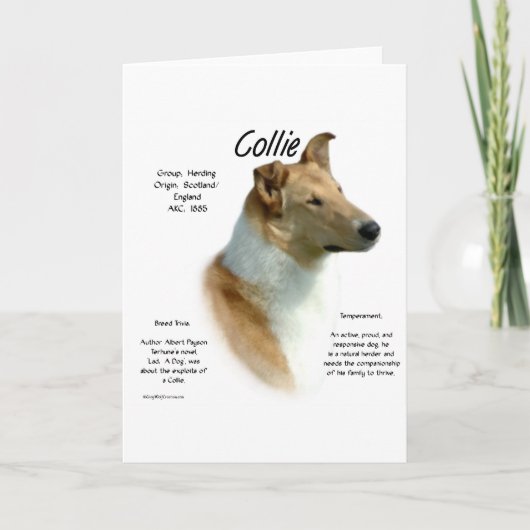 Collie (sable smooth)履歴デザイン シーズンカード (正面)