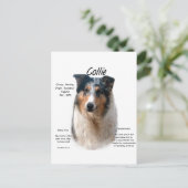 Collie (smooth merle)ヒストリデザイン ポストカード (スタンド正面)