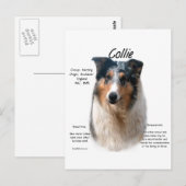 Collie (smooth merle)ヒストリデザイン ポストカード (正面/裏面)