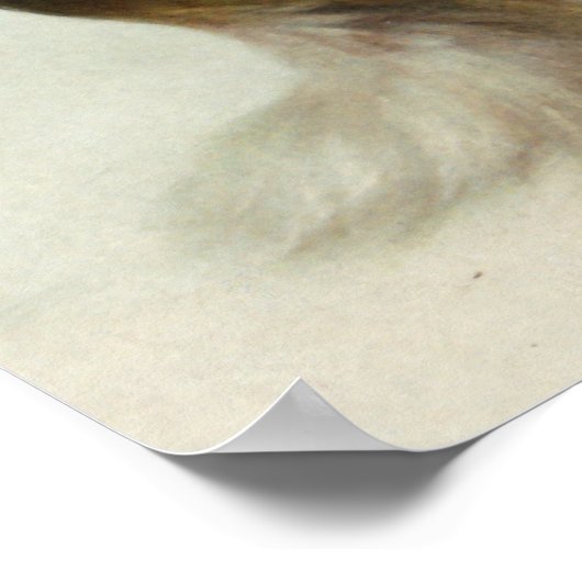 Collie und Schaf ポスター (角)