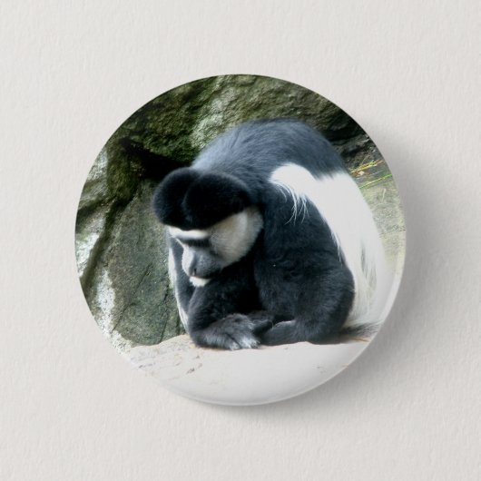 Colobus 缶バッジ (正面)