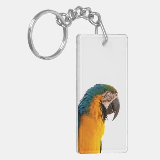 coloful Parrot  キーホルダー (正面左)