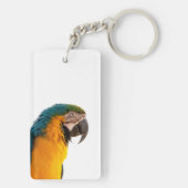 coloful Parrot  キーホルダー (裏面)