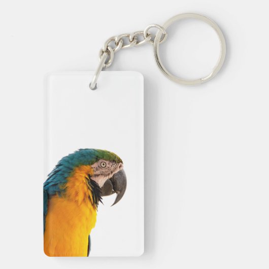 coloful Parrot キーホルダー (裏面)