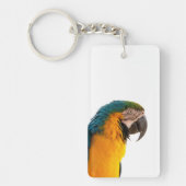 coloful Parrot  キーホルダー (正面)