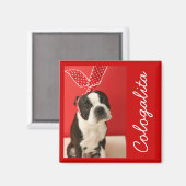 Cologalita Usamimi Magnets マグネット (正面/裏面)