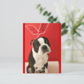 Cologalita Usamimi Postcards ポストカード (スタンド正面)