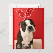 Cologalita Usamimi Postcards ポストカード (正面/裏面)