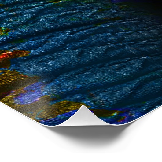 Color Elephant - Poster ポスター (コーナー)