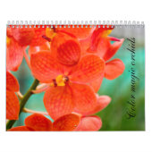 Color magic orchids カレンダー (カバー)