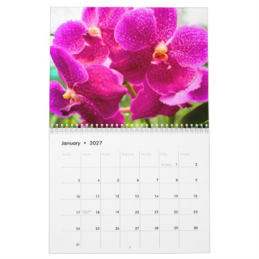 Color magic orchids カレンダー (1月 2027)