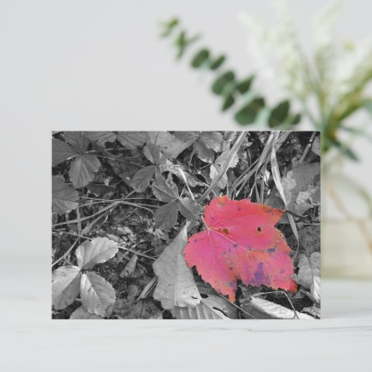Color Pop Red Leaf サンキューカード (スタンド正面)