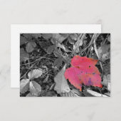 Color Pop Red Leaf サンキューカード (正面/裏面)