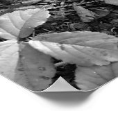 Color Pop Red Leaf ポスター (角)