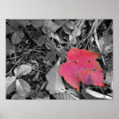 Color Pop Red Leaf ポスター (正面)