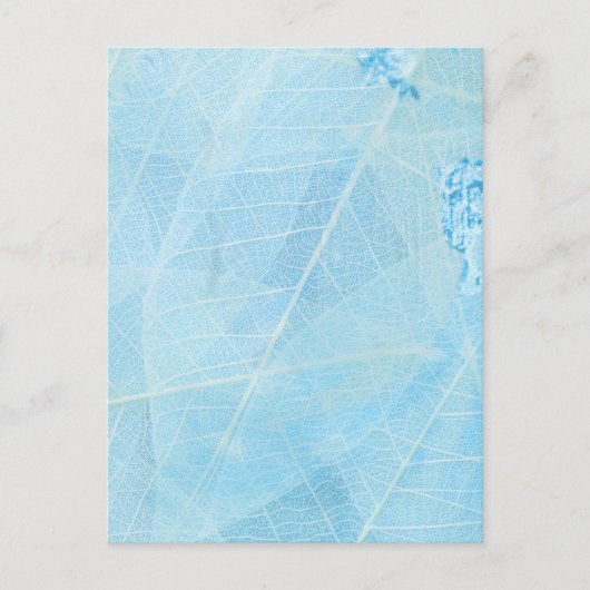 color tuqueza hoja ポストカード (正面)