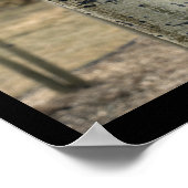 Colorado Aspen Trees ポスター (角)