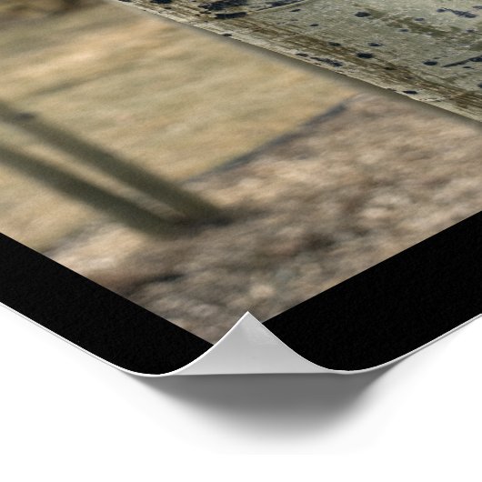 Colorado Aspen Trees ポスター (角)